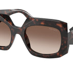 54-145-20 / 17N10S-Root Tortoise