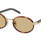 52-145-20 / 21E10R-Root Tortoise