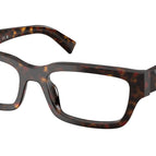 55-145-18 / 17N1O1-Root Tortoise