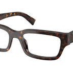 54-145-19 / 17N1O1-Root Tortoise