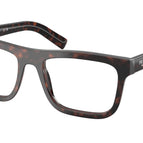 56-145-18 / 17N1O1-Root Tortoise