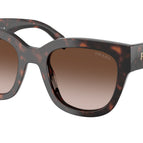 53-145-20 / 17N80A-Root Tortoise