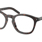 49-145-22 / 17N1O1-Root Tortoise