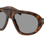 57-135-18 / 20D50Q-Juniper Tortoise