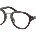 48-145-23 / 17N1O1-Root Tortoise