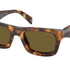 49-145-21 / 14L09Z-Honey Tortoise
