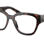 52-140-18 / 17N1O1-Root Tortoise