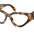 54-145-17 / 14L1O1-Honey Tortoise
