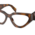 54-145-17 / 20D1O1-Juniper Tortoise