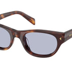 52-145-19 / 15W30X-Classic Tortoise