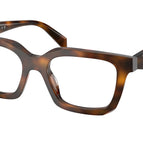 53-145-18 / 20D1O1-Juniper Tortoise