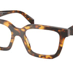 50-145-19 / 14L1O1-Honey Tortoise