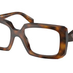 51-145-19 / 20D1O1-Juniper Tortoise