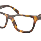 52-145-17 / 14L1O1-Honey Tortoise