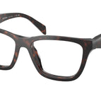 52-145-17 / 17N1O1-Root Tortoise
