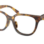 53-145-17 / 14L1O1-Honey Tortoise