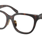53-145-17 / 17N1O1-Root Tortoise