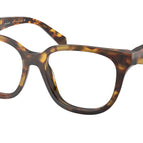 51-145-17 / 14L1O1-Honey Tortoise