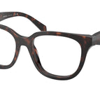 51-145-17 / 17N1O1-Root Tortoise