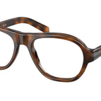 55-140-18 / 20D1O1-Juniper Tortoise
