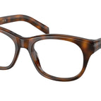 54-140-16 / 20D1O1-Juniper Tortoise