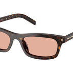53-145-17 / 17N50W-Root Tortoise