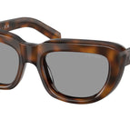 54-140-19 / 20D50Q-Juniper Tortoise