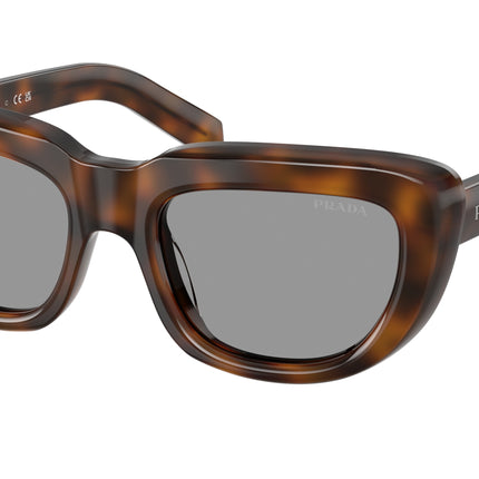 Prada PRD07SF Rectangle Sunglasses  20D50Q-Juniper Tortoise 54-140-19 - Color Map Tortoise