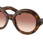 53-135-21 / 20D70X-Juniper Tortoise