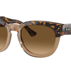 53-145-21 / 1292M2-Havana On Transparent Brown - Polarized