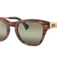 Ray-Ban RB0707SM Square Sunglasses  954/G4-Striped Havana 53-145-21 - Color Map Brown