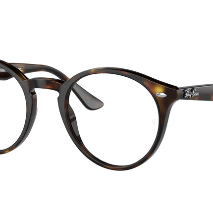 Ray-Ban RB2180 Round Sunglasses  710/M1-Light Havana 52-150-21 - Color Map Tortoise