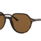 Ray-Ban THALIA RB2195 Square Sunglasses  902/57-Havana 53-145-18 - Color Map Tortoise
