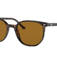 Ray-Ban ELLIOT RB2197 Square Sunglasses  902/33-Havana 52-145-19 - Color Map Tortoise