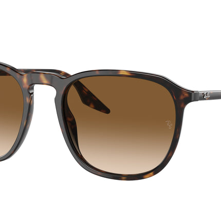 Ray-Ban RB2203 Square Sunglasses  902/51-Havana 55-145-20 - Color Map Tortoise