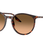 51-145-20 / 14293B-Havana Red Turtle