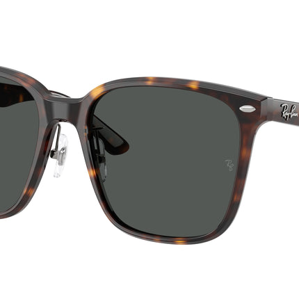 Ray-Ban RB2206D Square Sunglasses  710/87-Havana 57-145-18 - Color Map Tortoise