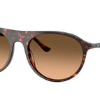 56-145-20 / 14293B-Havana Red Turtle