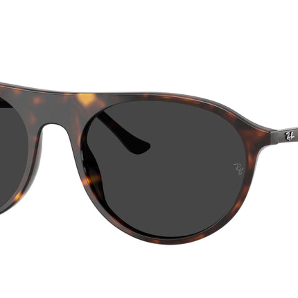 Ray-Ban RB2215 Square Sunglasses  902/48-Havana 59-145-20 - Color Map Tortoise