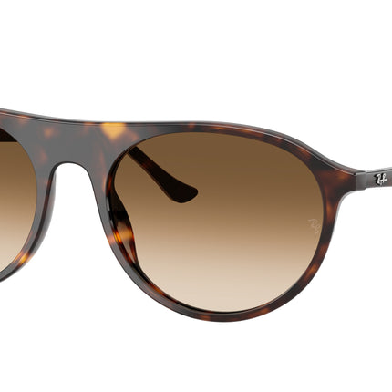 Ray-Ban RB2215 Square Sunglasses  902/51-Havana 59-145-20 - Color Map Tortoise