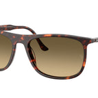 58-145-18 / 14290A-Havana Red Turtle