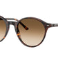 Ray-Ban BERNARD RB2230F Phantos Sunglasses  902/51-Havana 51-145-20 - Color Map Tortoise