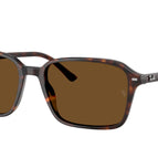 56-145-18 / 902/57-Havana - Polarized