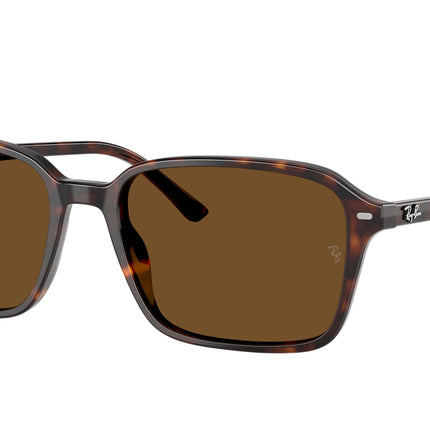 Ray-Ban RAIMOND RB2231F Square Sunglasses  902/57-Havana 56-145-18 - Color Map Tortoise