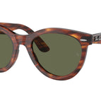 54-150-21 / 954/58-Striped Havana - Polarized