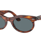 53-150-22 / 954/3R-Striped Havana - Polarized