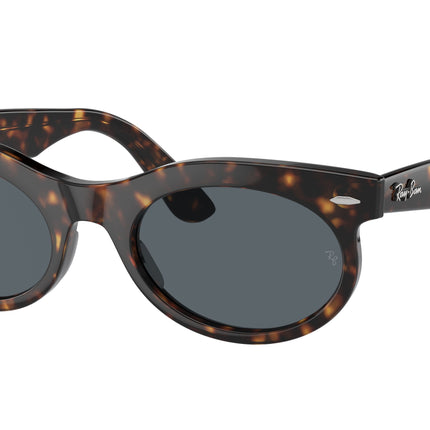 Ray-Ban WAYFARER OVAL RB2242 Oval Sunglasses  902/R5-Havana 53-150-22 - Color Map Tortoise