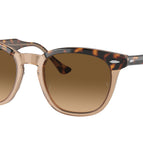 52-145-21 / 1292M2-Havana On Transparent Brown - Polarized