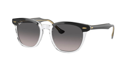 Ray-Ban HAWKEYE RB2298 Square Sunglasses - Lensntrends