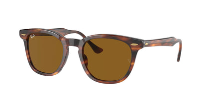 Ray-Ban HAWKEYE RB2298 Square Sunglasses - Lensntrends